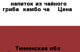 напиток из чайного гриба “камбо ча“ › Цена ­ 50 - Тюменская обл. Продукты и напитки » Безалкогольные напитки   . Тюменская обл.